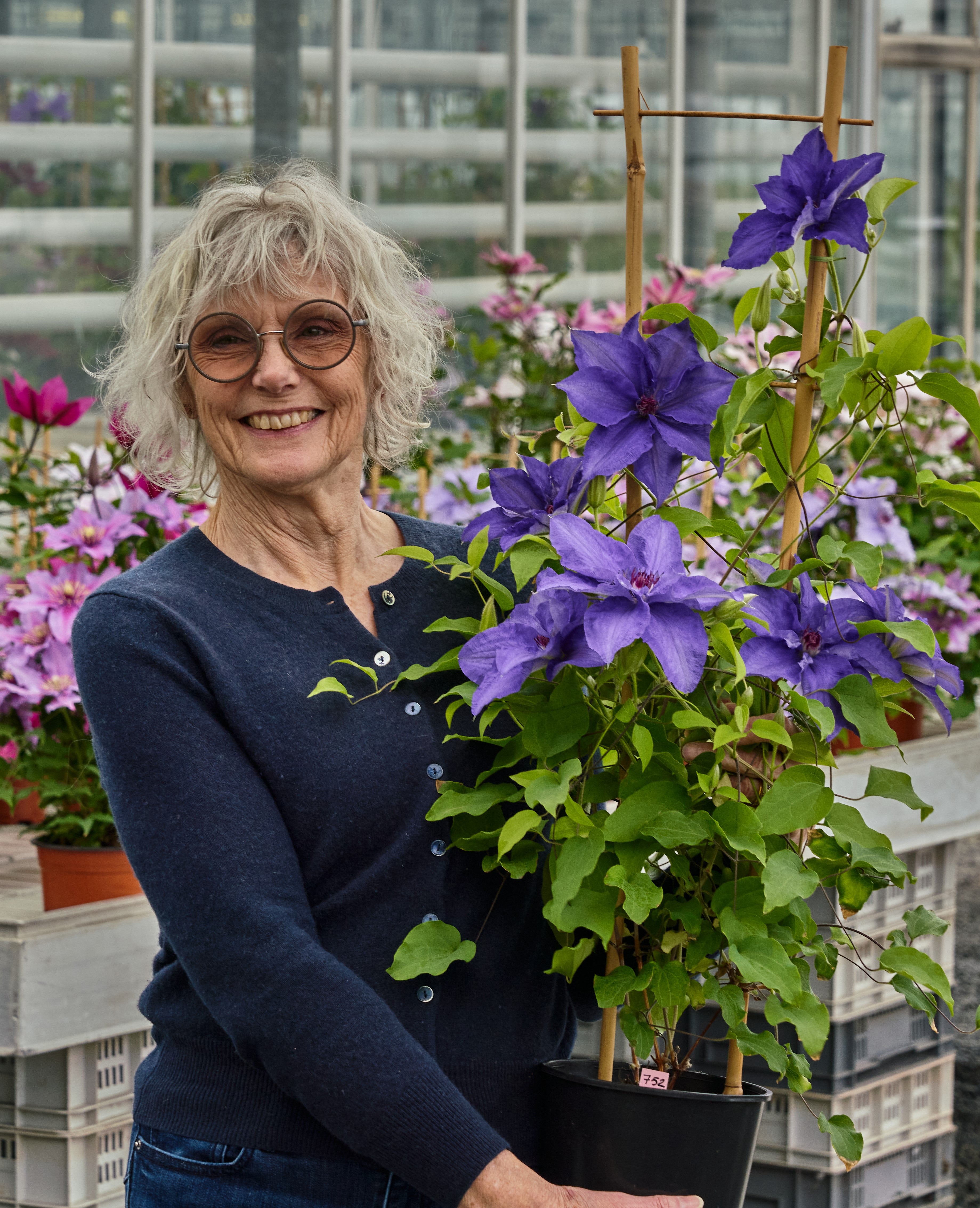 First variety confirmed to be launched at the 2024 RHS Chelsea